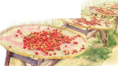 “乡”约津秋 沃野流金——天津市农文旅融合发展激活乡村振兴“一池春水”