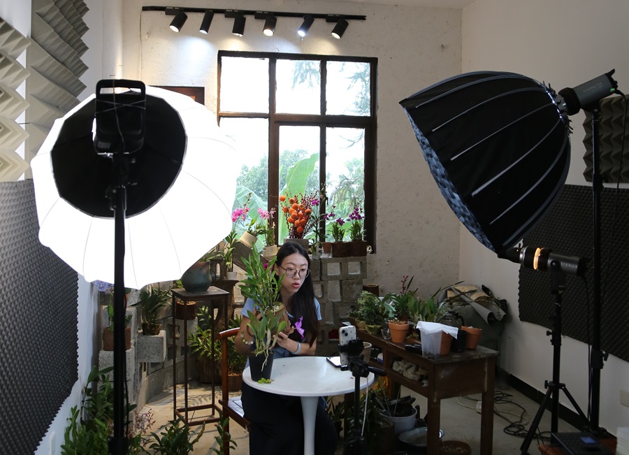 云南保山大力发展农村直播电商 为当地经济发展注入新动能