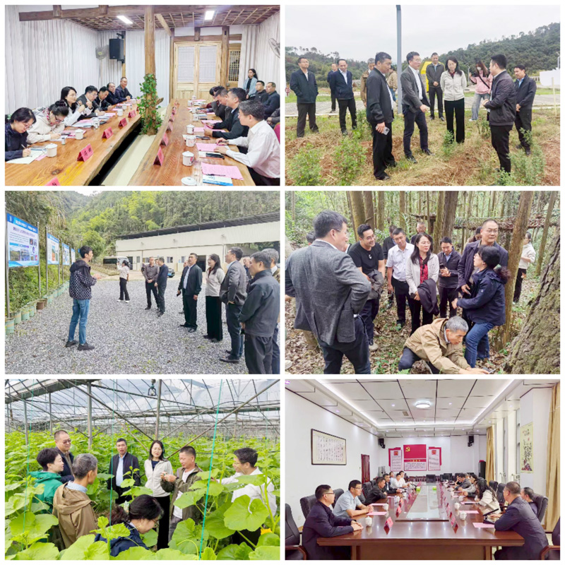 九三学社上海市委会来闽开展乡村振兴调研对接活动