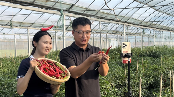 河北鸡泽：小屏幕连通大市场 “一品一播”赋能县域经济高质量发展