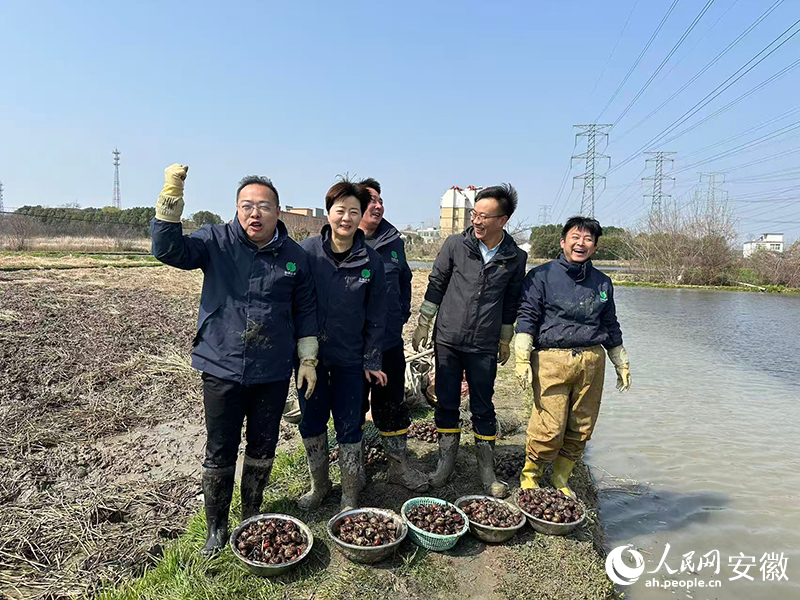 农村电商，“播种”在肥东乡土之中