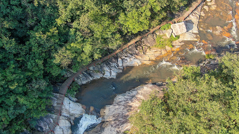 萤光星海、中药养生 湖北随县抱朴谷景区沉浸式赏夏夜即将开启