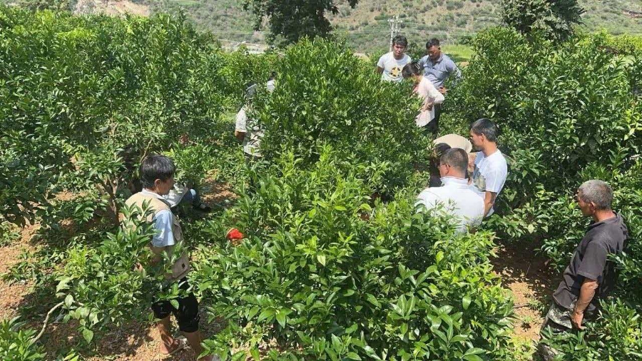 丽江宁蒗：因地制宜培育特色产业 绘就乡村振兴新画卷