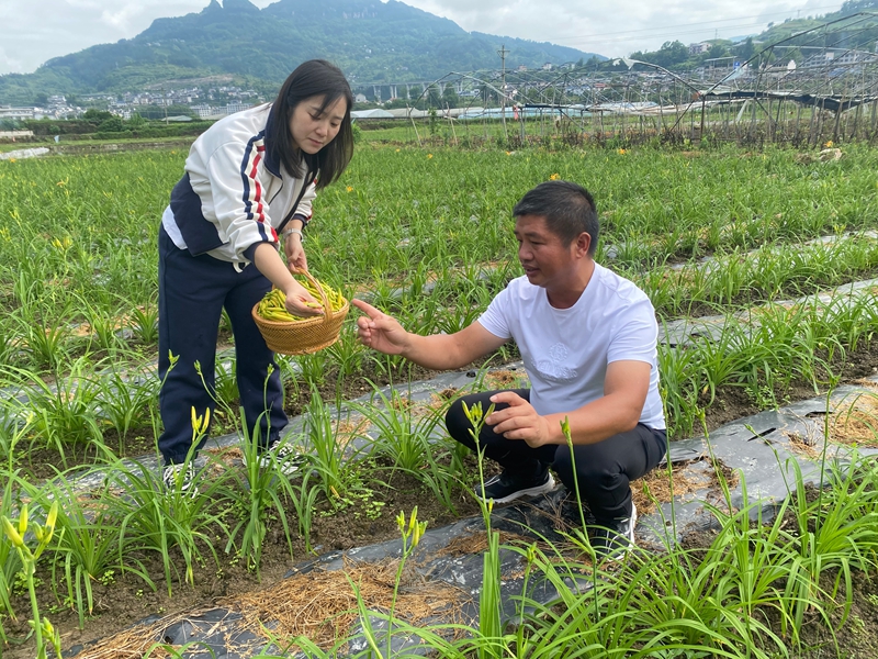头雁领航兴特色产业。