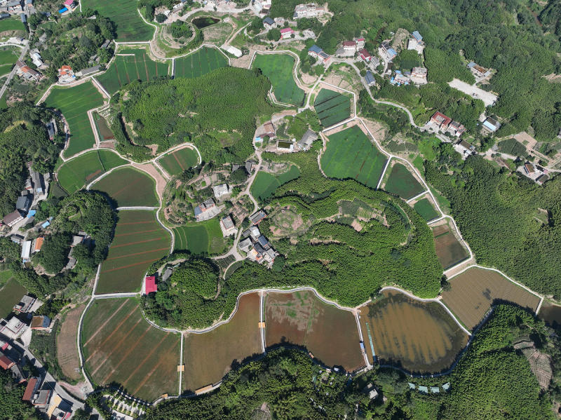 党建引领兴产业 “竹稻虾”香富乡村——宜宾市翠屏区菜坝镇水库村打造农文旅融合振兴样板