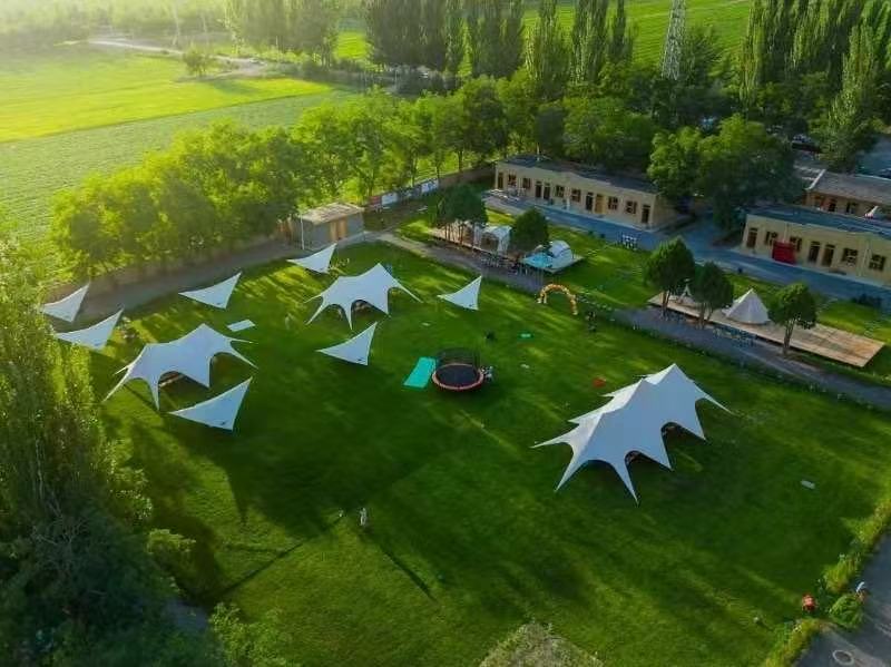 宁夏银川：党建引领农文旅融合发展壮大村集体经济