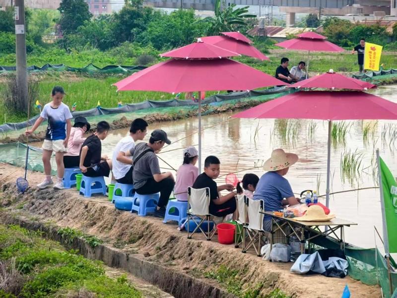 东辉村：文旅融合业兴 实干笃行村旺