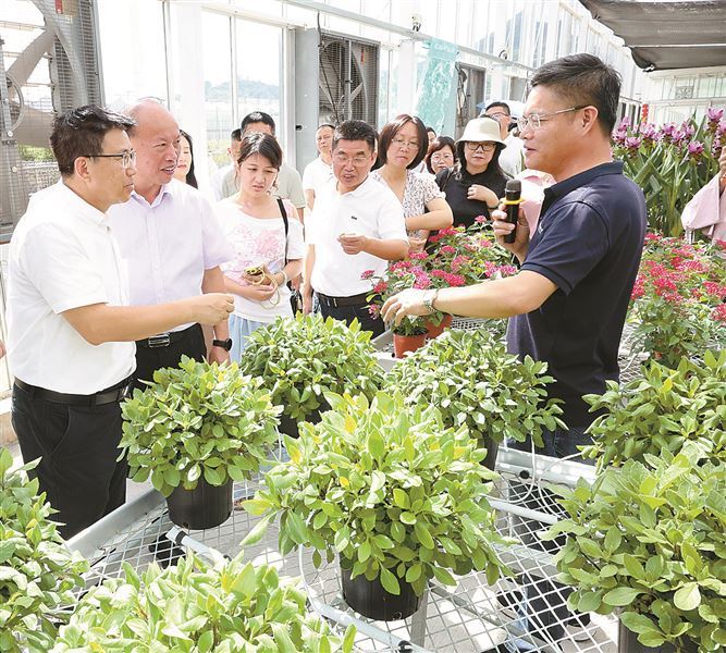厦门市政协开展“助力乡村全面振兴委员进百村”活动