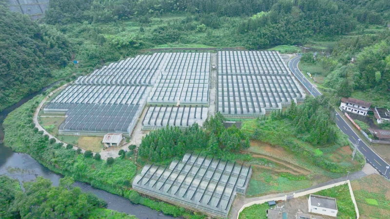 3【下溪乡兴隆村禾蛇田蔬菜大棚基地】.jpg