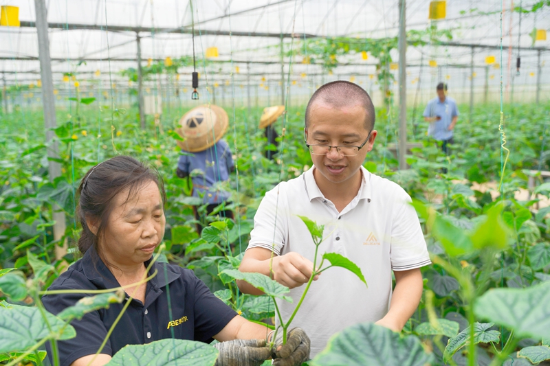 2【下溪乡兴隆村禾蛇田蔬菜大棚基地】.jpg