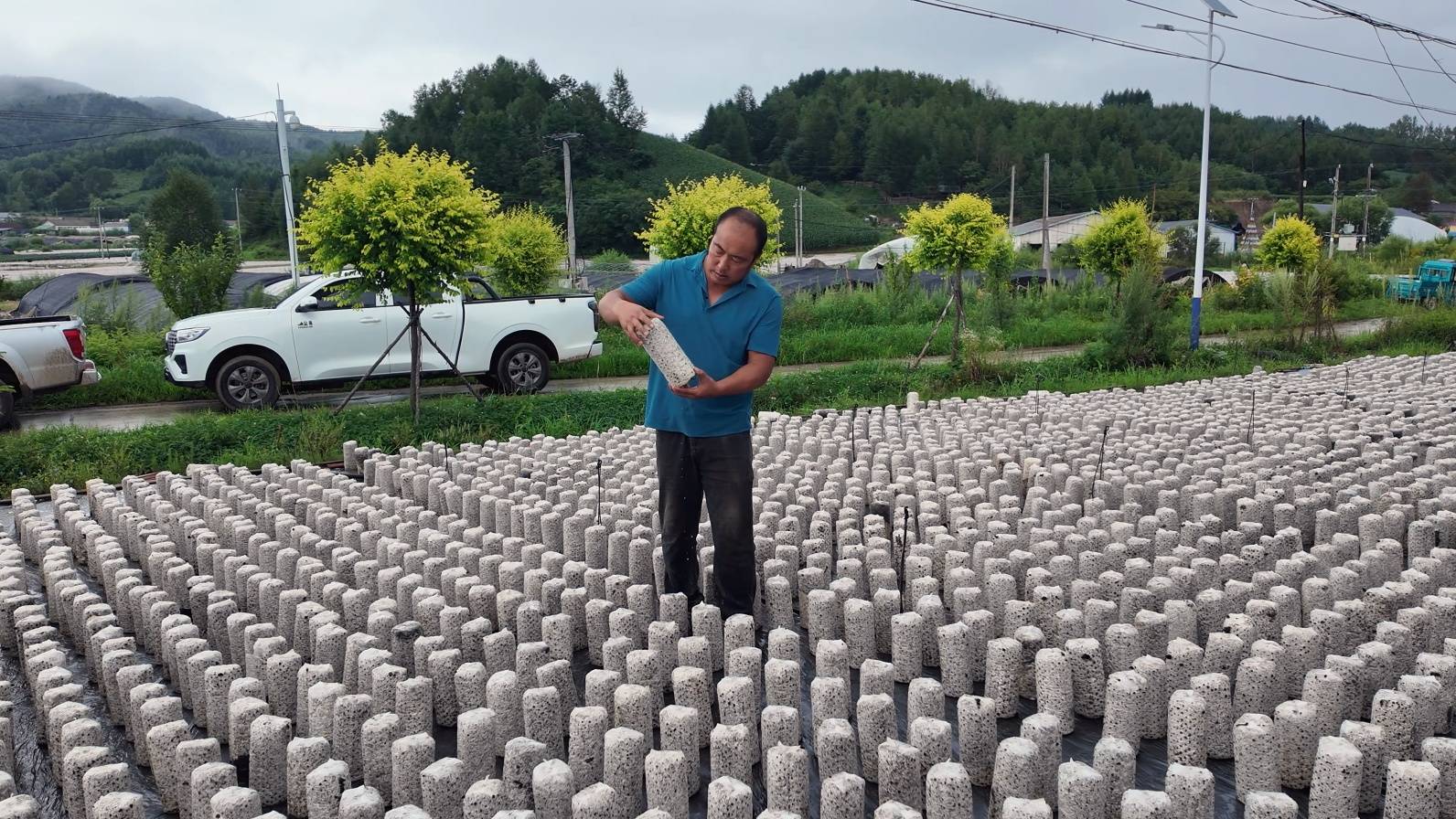 蛟河市黄松甸镇特色食用菌铺就乡村振兴路