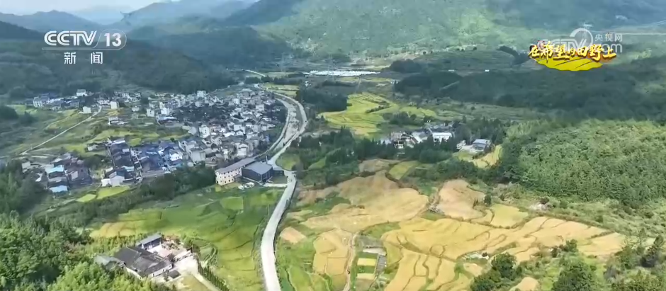 稻浪翻涌、瓜果飘香 “直播电商+特色产业”模式助农点亮乡村振兴路