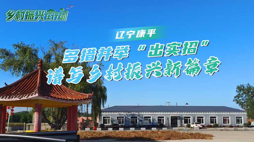 辽宁康平：多措并举“出实招” 谱写乡村振兴新篇章
