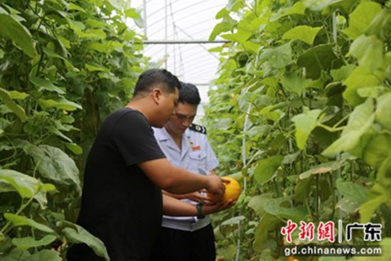 政策精准送 现代农业插上“智”翅膀。通讯员 供图