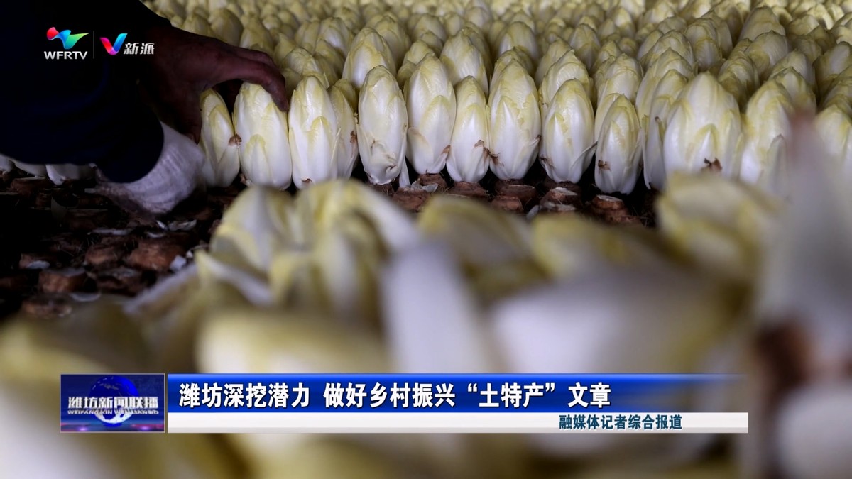 潍坊深挖潜力 做好乡村振兴“土特产”文章