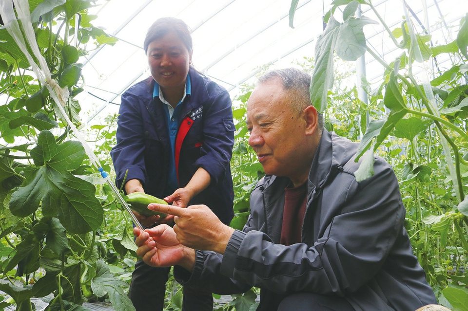 在双向吸引双向奔赴中助力谱写乡村振兴新篇章