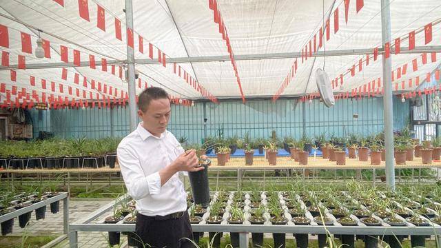 桐柏黄俊：领航兰花产业 绘就乡村振兴新图景