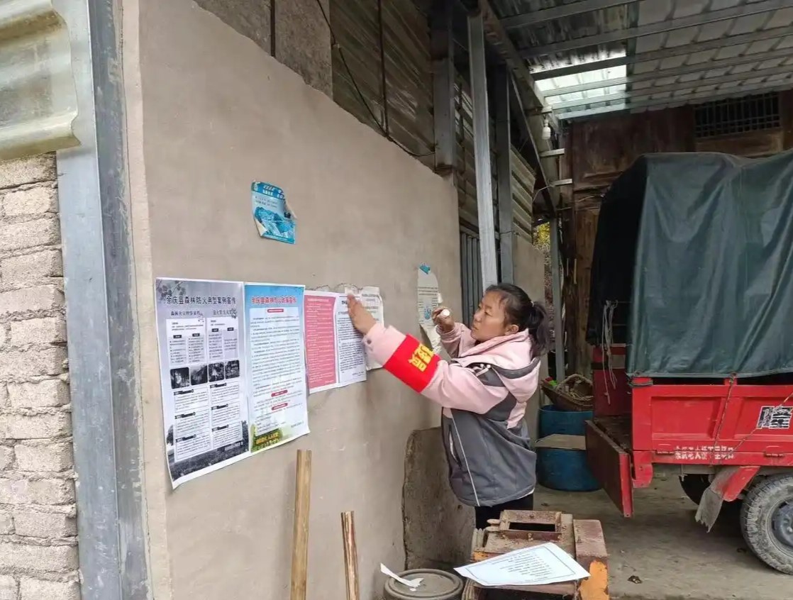 劳模风采丨王官照：乡村振兴路上的领航者