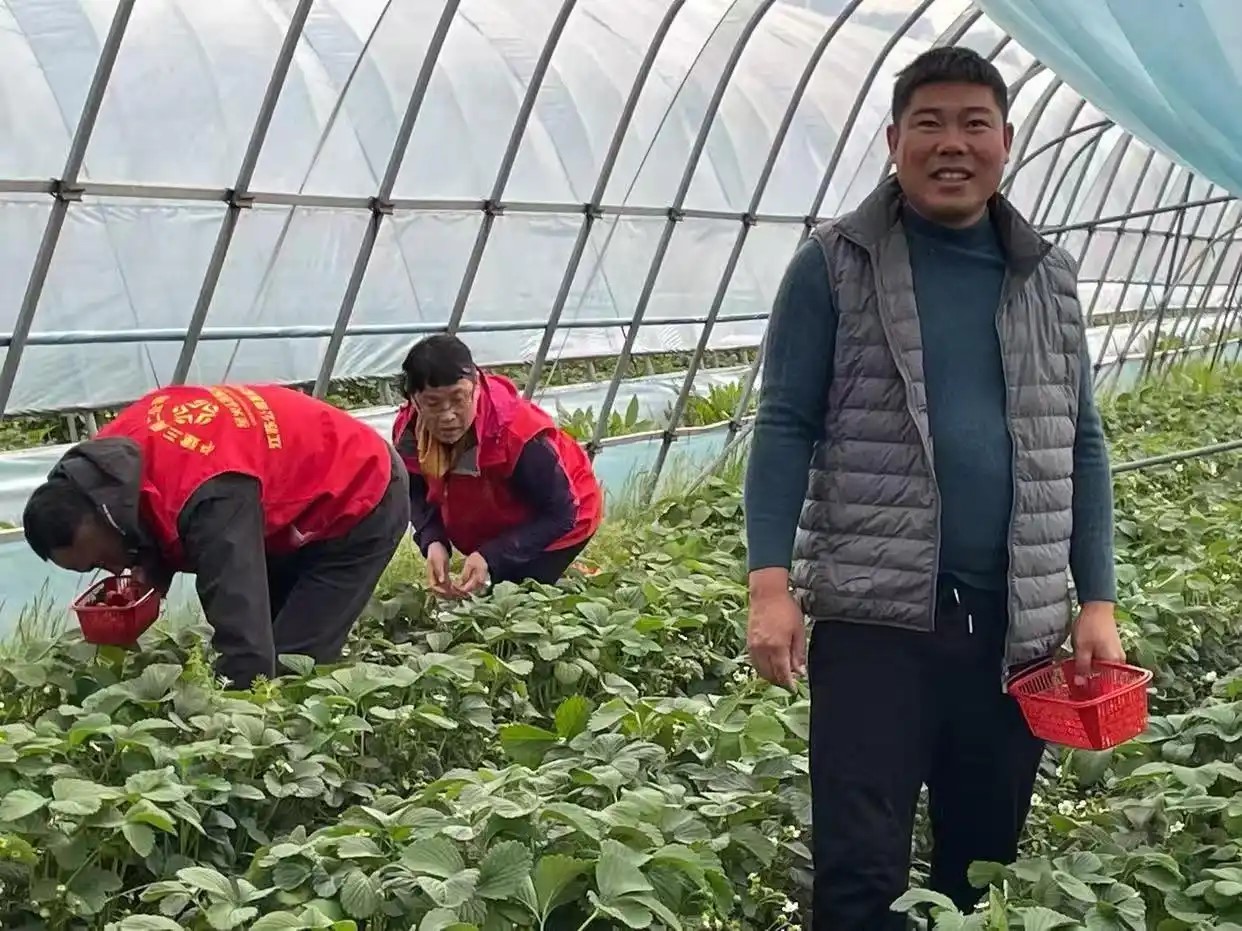城市智库人物故事“草莓哥”宋德坤：20年生态耕耘绘就新农人画卷
