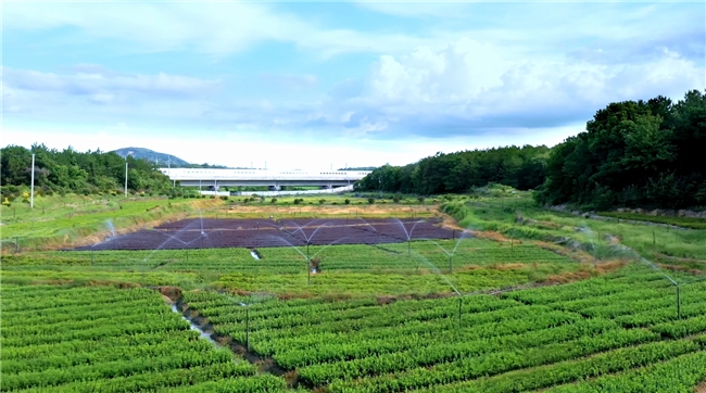 安徽安庆烟草：党建领航绘新卷 乡村振兴谱华章