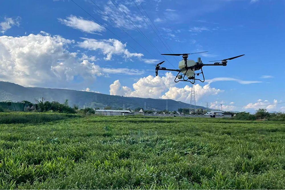 他们扎根乡土 绘就乡村振兴新图景