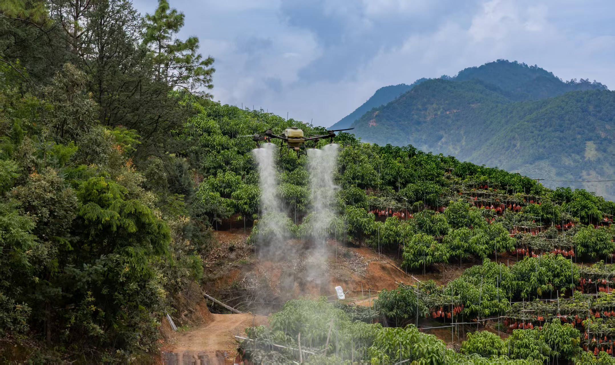 攀枝花：全域提质绘新景，乡村振兴给出“和美答卷”