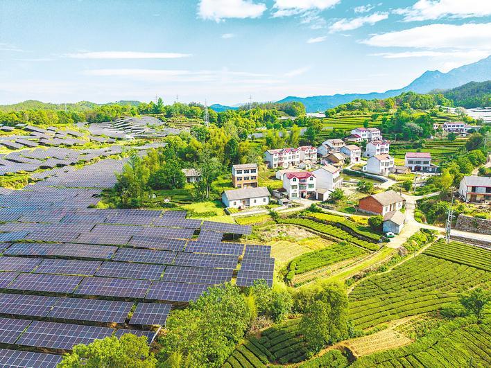 茶光互补助力乡村振兴