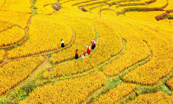 锚定“十五五”目标， 绘就乡村全面振兴新图景