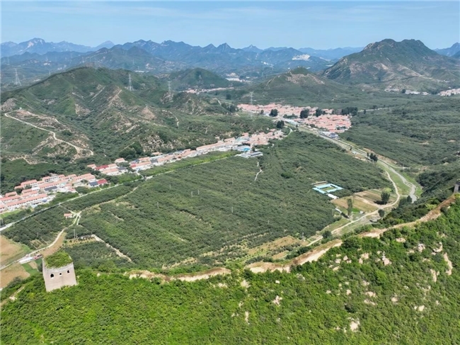 湖北大悟：答好驻村帮扶“新考卷” 绘就乡村振兴“幸福景”