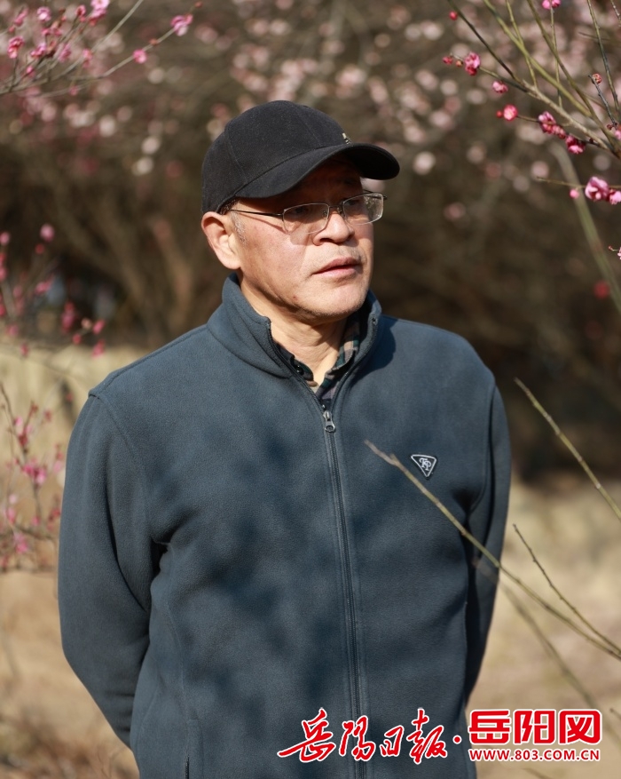 汨罗市：“梅林主人”龙岳林的乡村振兴梦