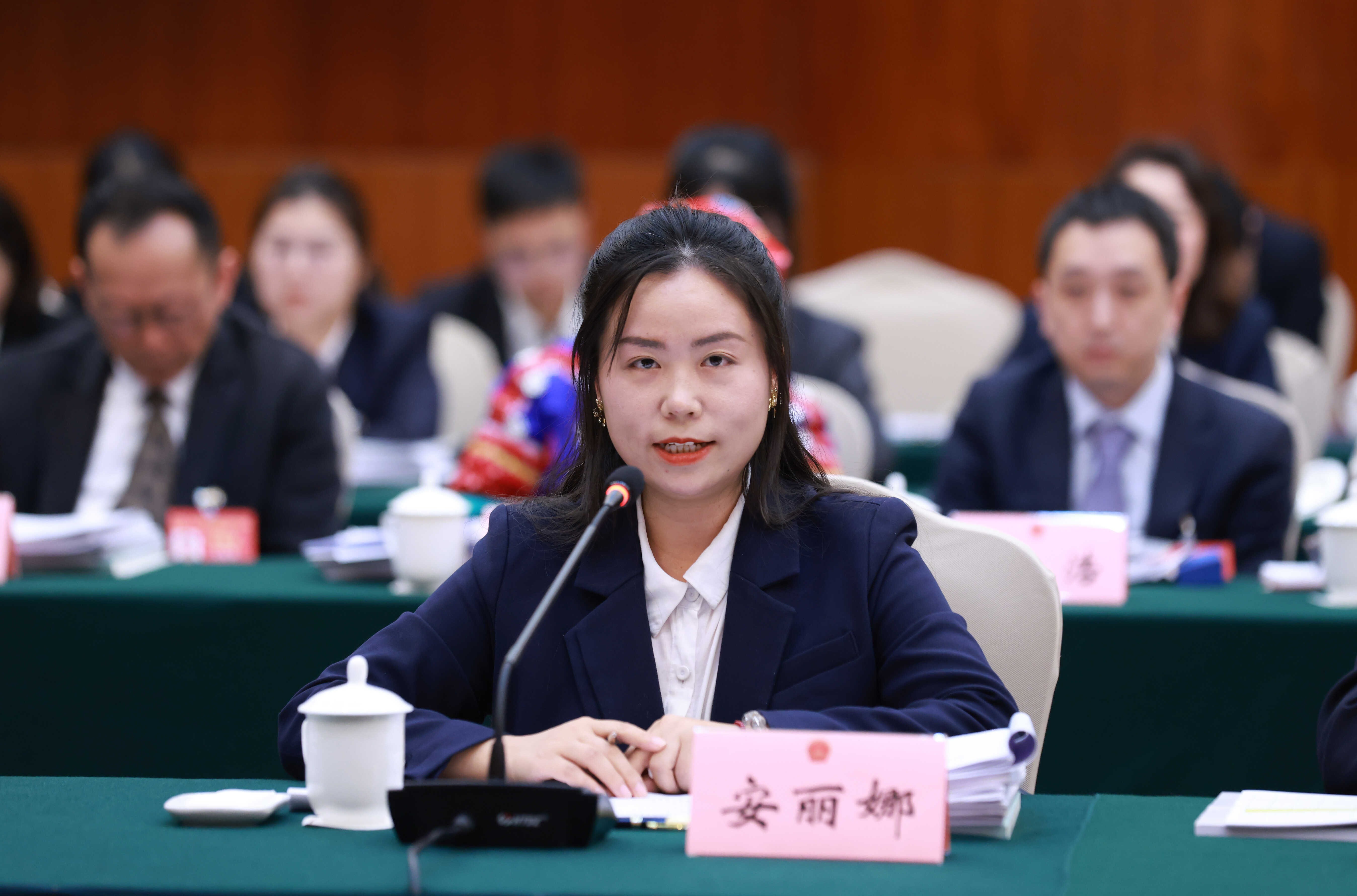 安丽娜代表：为推进乡村全面振兴贡献力量