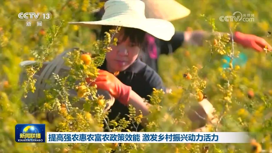 提高强农惠农富农政策效能 激发乡村振兴动力活力