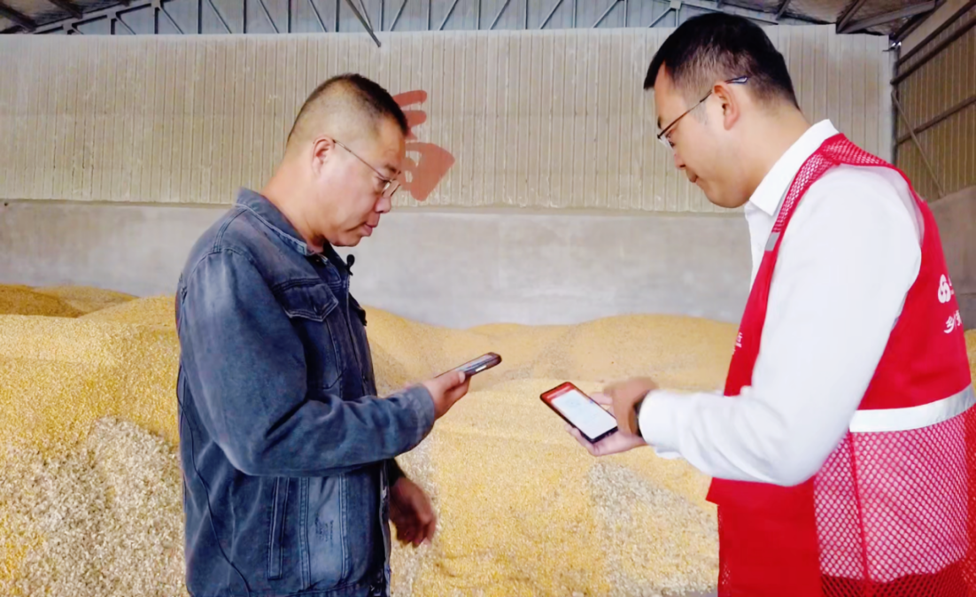 青岛金融监管局：金融“活水”润乡土 赋能“三农”谱新篇