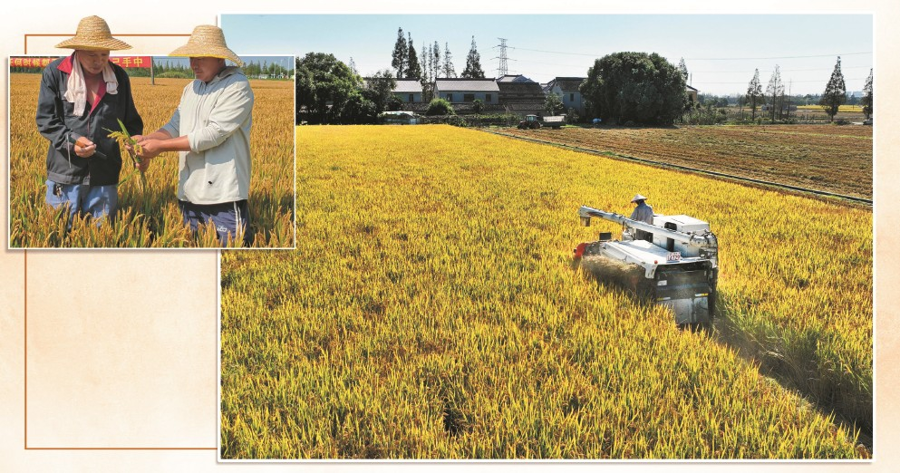 乡村振兴，向科技要产量向创新要未来