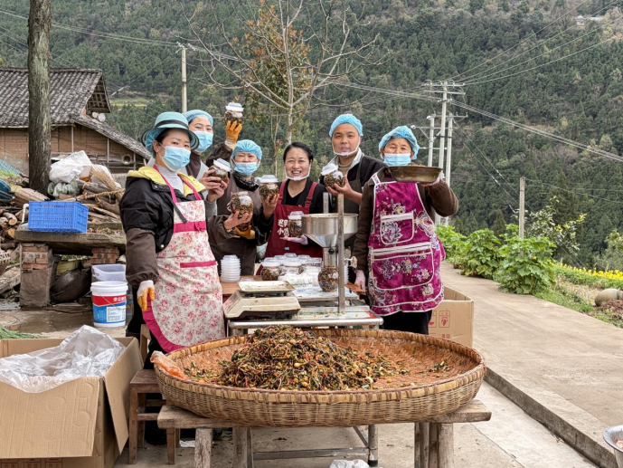 四川苍溪“村播助农”释放乡村振兴新动能