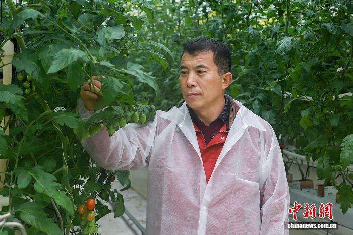 乡村振兴中的变与不变：从面朝黄土到数字农田