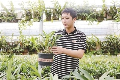 90后“新农人”蒋德凡的乡村振兴答卷