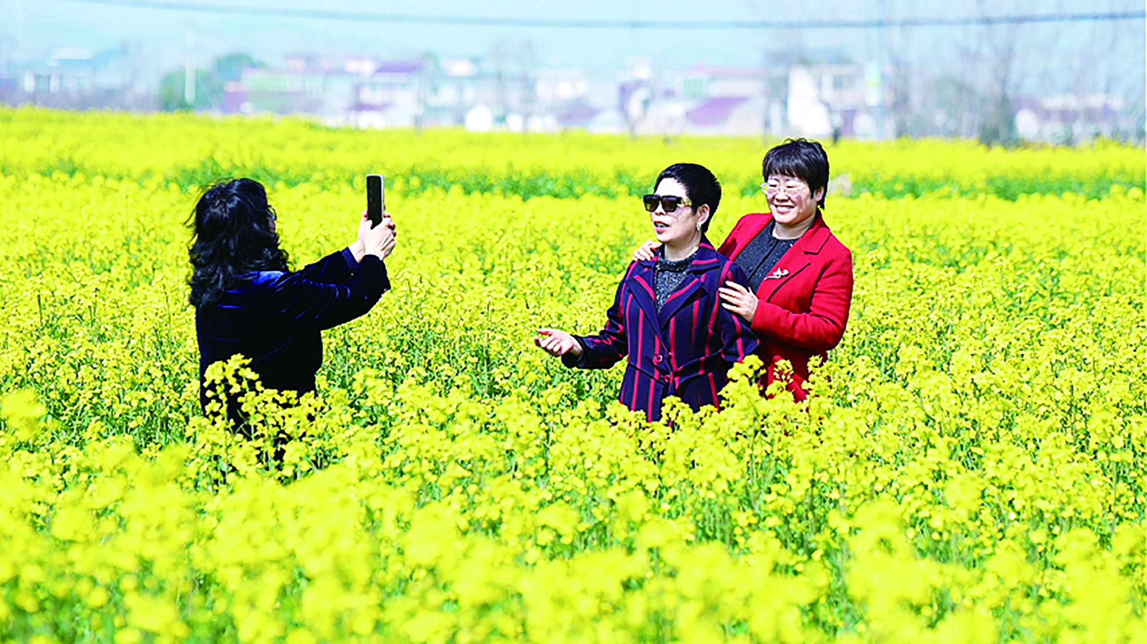 含山：15万亩金色花海激发乡村振兴新活力