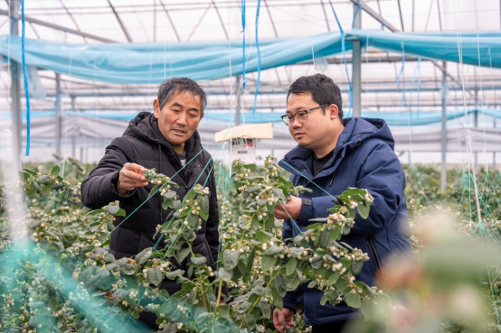 扎根基层激活乡村振兴动能