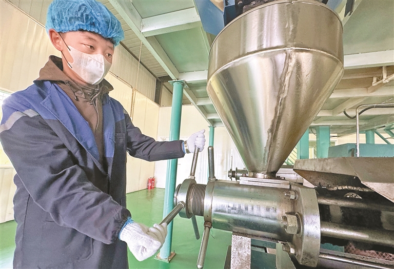 厚植“三农”沃土夯实产业根基