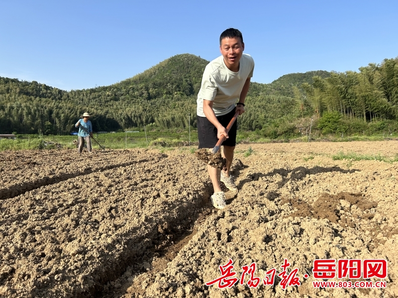 李黎：18年坚守，他带领乡亲种出“致富菜”