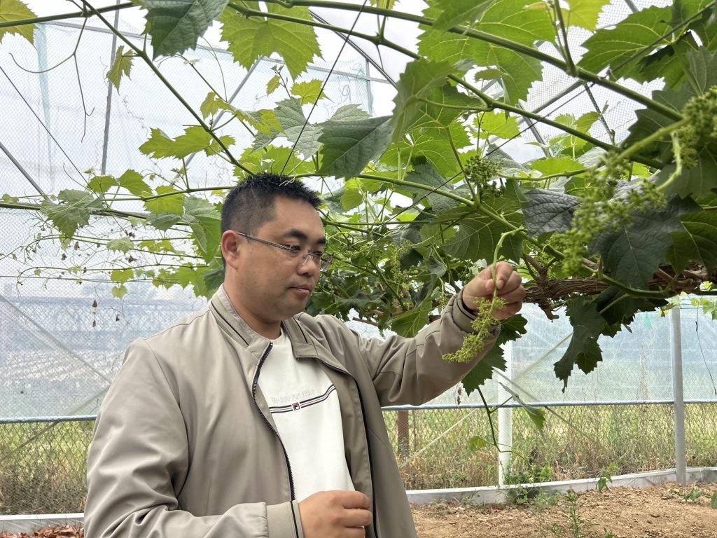 IT男返乡“种地”，热血青年变身高级农艺师，手握20余项专利