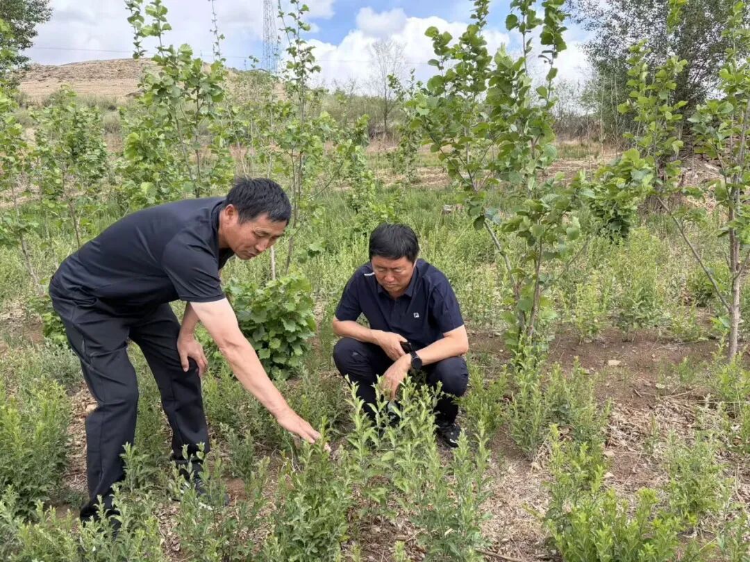 孙明：二十六载扎根乡土 实干兴村促振兴