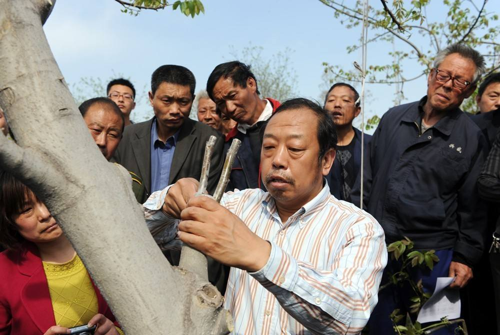 太行山上新愚公