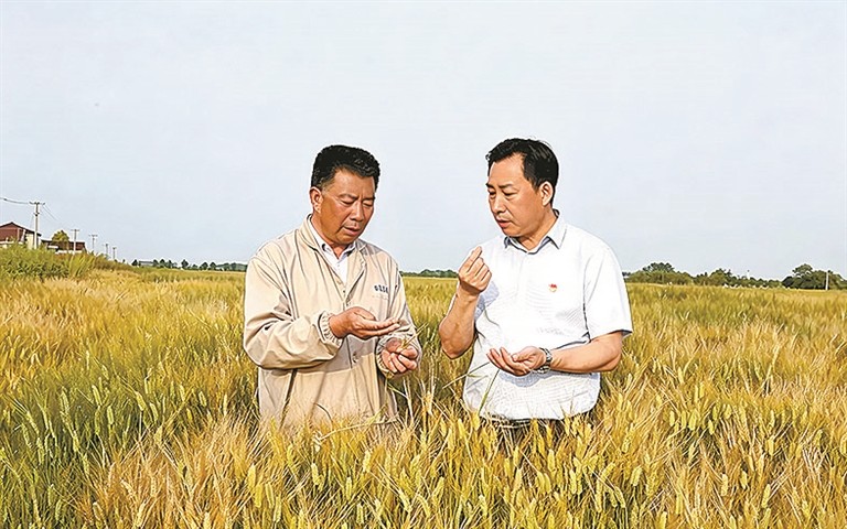 江苏省人大代表孙维亚：乡村振兴路上步履不停