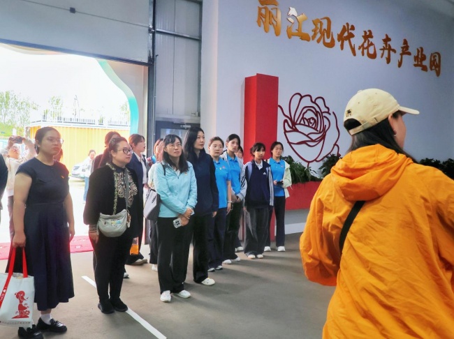 一程花事连山海——从济南到丽江，一朵玫瑰串起的乡村振兴新图景