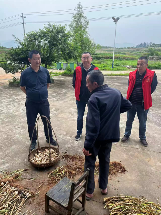 藏在百姓笑脸里的振兴答卷——湖北高黄村乡村振兴纪实