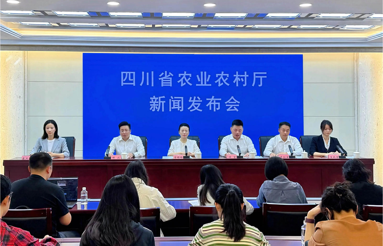 非常“6+1”产业、“一村一CEO” 大竹乡村振兴有何新招？